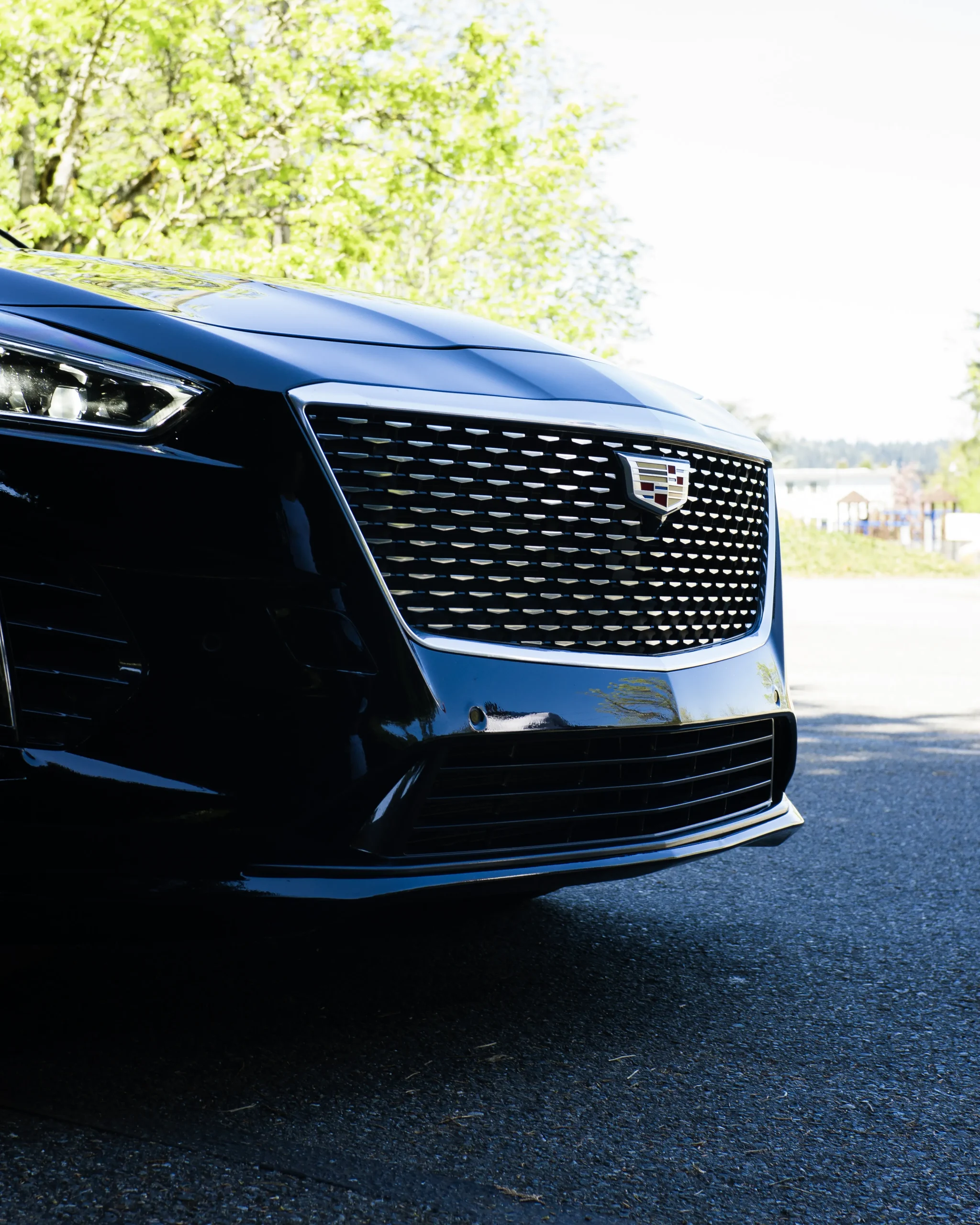 Cadillac CT6 Grille and Logo Close-Up Executive Car Service